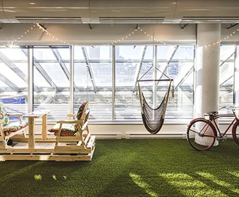 synthetic+grass+office+wall+toronto