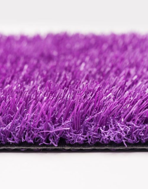purple turf