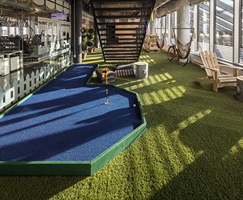 Artificial grass for office