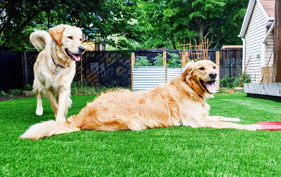 high quality artificial grass for dogs pet friendly